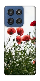 Чохол на Motorola Edge 60 Stylus Поле маків фото 1 з 1