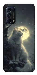 Чохол на Oppo Reno 5 4G Кіт під місяцем фото 1 з 1