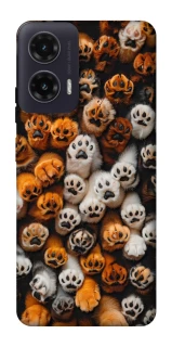 Чехол на Motorola Moto G35 Сat paws фото 1 из 1