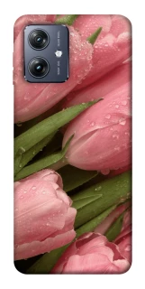 Чохол на Motorola Moto G54 Beauty фото 1 Чохол на Motorola Moto G54 Beauty фото 1 з 1