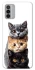 Чохол на Nokia G42 Гарні котики фото 1 з 1