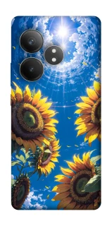 Чохол на Realme GT Neo 6 Sunflowers фото 1 з 1