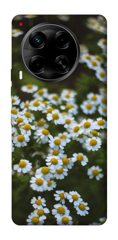 Чехол на TECNO Camon 30 (CL6) Ромашки v13 фото 1 из 1