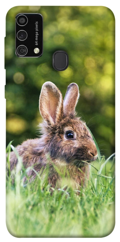 Чехол на Samsung Galaxy M21s Кролики фото 1 из 1