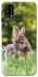 Чехол на Samsung Galaxy M21s Кролики фото 1 из 1
