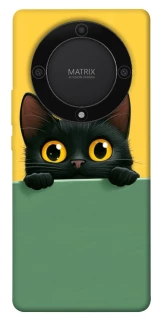 Чехол на Huawei Magic5 Lite Black cat v2 фото 1 из 1