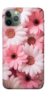Чехол на Apple iPhone 11 Pro (5.8") Розовые цветы v2 фото 1 из 1