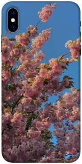 Чохол на Apple iPhone X (5.8") Flowers v4 фото 1 з 1