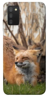 Чехол на Samsung Galaxy A03s Лиса фото 1 из 1