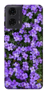 Чохол на Motorola Moto G04 Flowers v17 фото 1 з 1