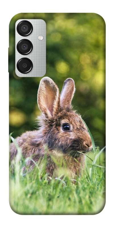 Чохол на Samsung Galaxy M15 5G Кролики фото 1 з 1