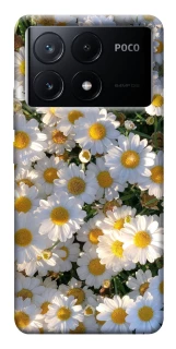 Чехол на Xiaomi Poco X6 Поле ромашек фото 1 из 1