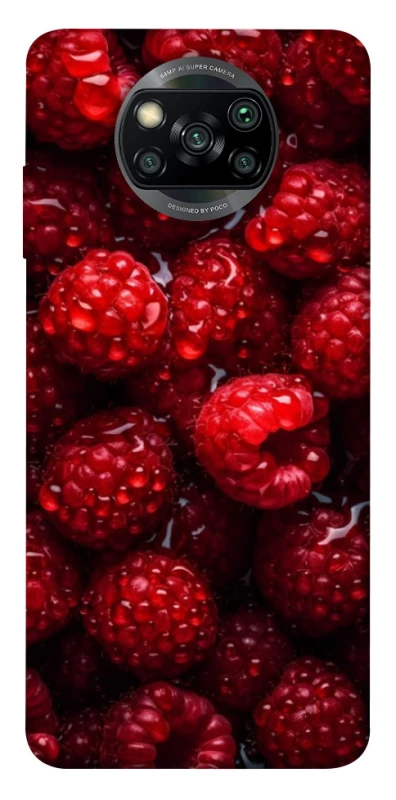 Чохол на Xiaomi Poco X3 NFC / Poco X3 Pro Малинка фото 1 з 1