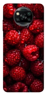 Чехол на Xiaomi Poco X3 NFC / Poco X3 Pro Малинка фото 1 из 1