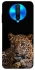 Чехол на Xiaomi Poco X2 Leopard v4 фото 1 из 1