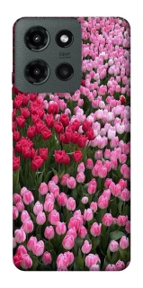 Чохол на Motorola Moto G Power (2025) Flowers v9 фото 1 з 1