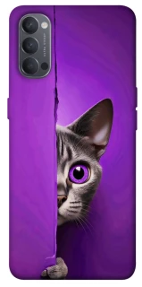 Чохол на Oppo Reno 4 Кіт-підглядач фото 1 з 1