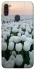 Чехол на Samsung Galaxy M11 Flowers v1 фото 1 Чехол на Samsung Galaxy M11 Flowers v1 фото 1 из 1