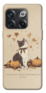 Чехол на OnePlus 10T Autumn vibes ver.3 фото 1 из 1