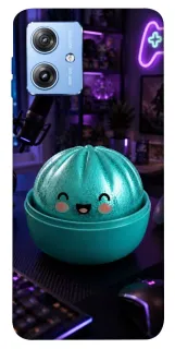 Чохол на Motorola Moto G84 Dumpling ver.10 фото 1 з 1