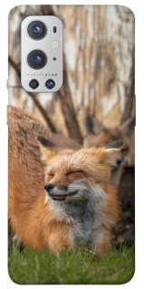 Чехол на OnePlus 9 Pro Лиса фото 1 из 1