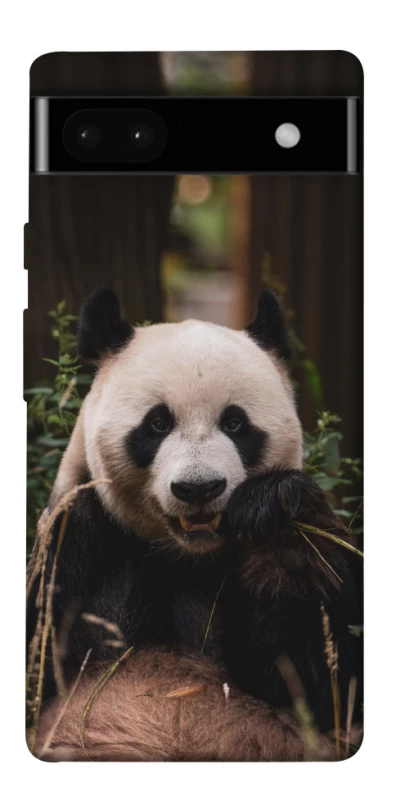 Чехол на Google Pixel 6a Панда фото 1 из 1