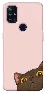 Чохол на OnePlus Nord N10 5G Peeping cat фото 1 з 1