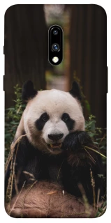 Чехол на OnePlus 7 Панда фото 1 из 1