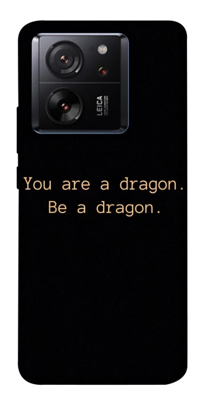 Чехол на Xiaomi 13T House of the Dragon ver.9 фото 1 из 1