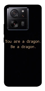 Чехол на Xiaomi 13T House of the Dragon ver.9 фото 1 из 1