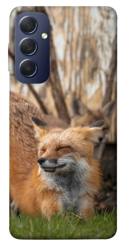 Чохол на Samsung Galaxy M54 5G Лисиця фото 1 з 1