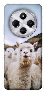 Чохол на Xiaomi Redmi 14C / Poco C75 Лама фото 1 з 1