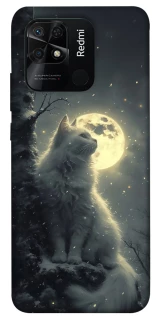 Чехол на Xiaomi Redmi 10C Кот под луной фото 1 из 1