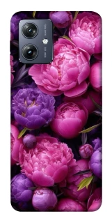 Чохол на Motorola Moto G54 Garden2 фото 1 Чохол на Motorola Moto G54 Garden2 фото 1 з 1