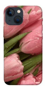Чохол на Apple iPhone 13 mini (5.4") Beauty фото 1 з 1