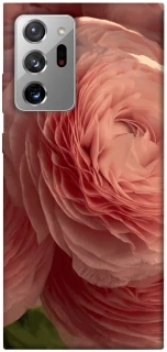 Чохол на Samsung Galaxy Note 20 Ultra Elegance фото 1 з 1