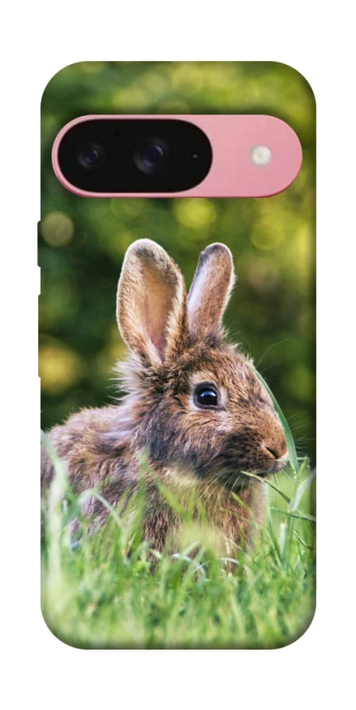Чехол на Google Pixel 9 Кролики фото 1 из 1