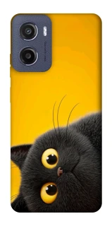 Чохол на Motorola Moto G05 This is Cat фото 1 з 1