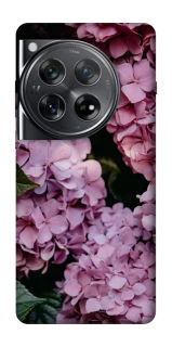 Чохол на OnePlus 12 Рожеві гартензії фото 1 з 1