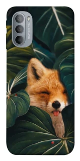 Чохол на Motorola Moto G31 Fox фото 1 з 1