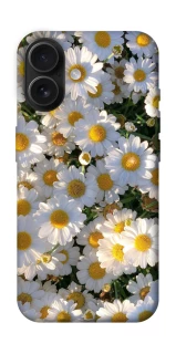 Чехол на Apple iPhone 16 Поле ромашек фото 1 из 1