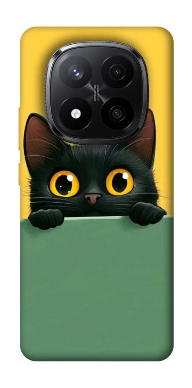Чохол на Xiaomi Redmi Note 14 Pro+ 5G Black cat v2 фото 1 з 1
