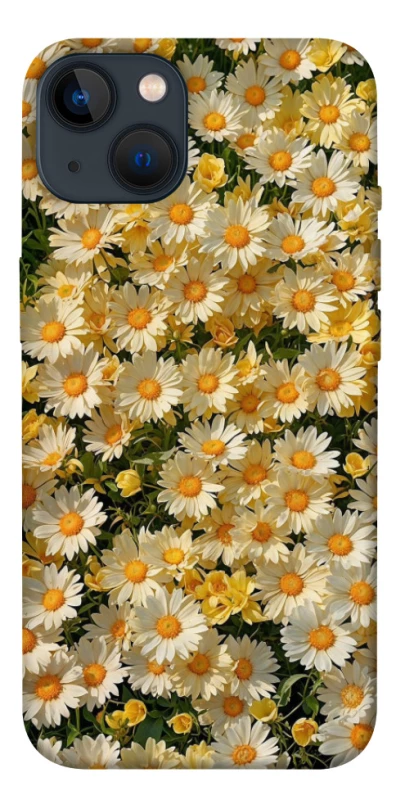 Чохол на Apple iPhone 13 (6.1") Camomile фото 1 з 1