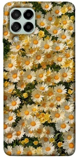 Чехол на Samsung Galaxy M53 5G Camomile фото 1 из 1
