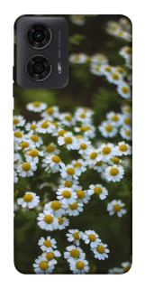 Чехол на Motorola Moto G04 Ромашки v13 фото 1 из 1