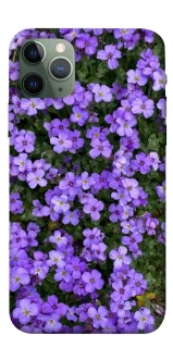 Чохол на Apple iPhone 11 Pro (5.8") Flowers v17 фото 1 з 1