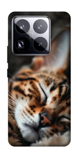 Чехол на Xiaomi 15 Pro Cat paws фото 1 из 1