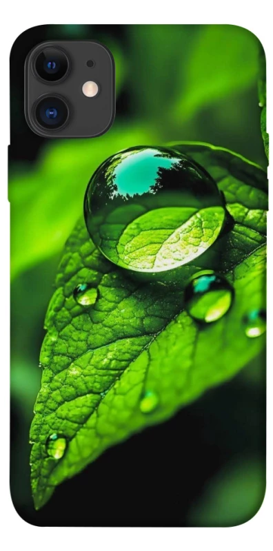 Чехол на Apple iPhone 11 (6.1") Flowers v16 фото 1 из 1