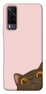 Чохол на Vivo Y31 Peeping cat фото 1 з 1