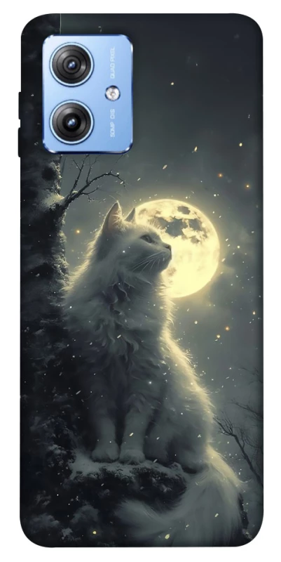 Чохол на Motorola Moto G84 Кіт під місяцем фото 1 з 1